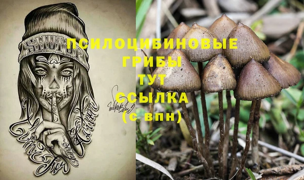 PSILOCYBIN Балахна